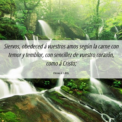 Picture 06 - Efesios 6:5 RVA - Siervos, obedeced á vuestros amos según la - Bible Verse Picture