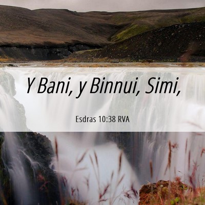 Picture 06 - Esdras 10:38 RVA - Y Bani, y Binnui, - Bible Verse Picture