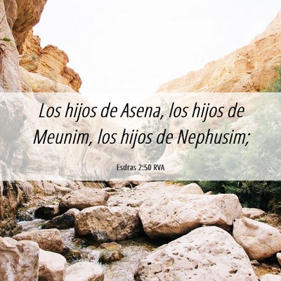 Picture 06 - Esdras 2:50 RVA - Los hijos de Asena, los hijos de Meunim, los - Bible Verse Picture