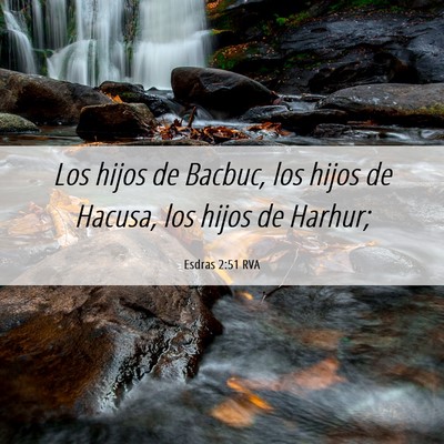 Picture 06 - Esdras 2:51 RVA - Los hijos de Bacbuc, los hijos de Hacusa, los - Bible Verse Picture