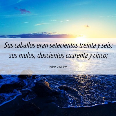 Picture 06 - Esdras 2:66 RVA - Sus caballos eran setecientos treinta y seis; sus - Bible Verse Picture