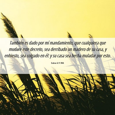 Picture 06 - Esdras 6:11 RVA - También es dado por mí mandamiento, que - Bible Verse Picture