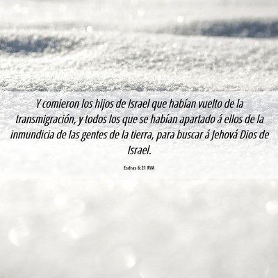 Picture 06 - Esdras 6:21 RVA - Y comieron los hijos de Israel que habían vuelto - Bible Verse Picture