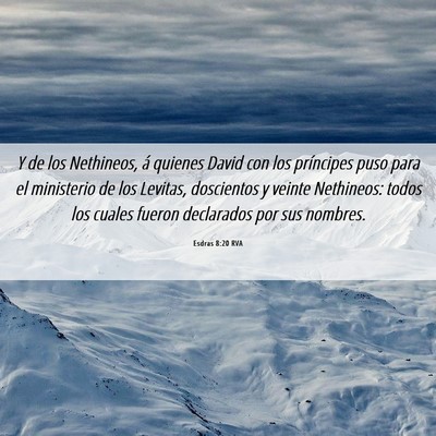 Picture 06 - Esdras 8:20 RVA - Y de los Nethineos, á quienes David con los - Bible Verse Picture
