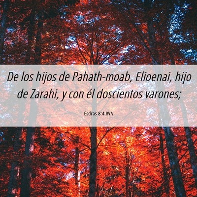 Picture 06 - Esdras 8:4 RVA - De los hijos de Pahath-moab, Elioenai, hijo de - Bible Verse Picture