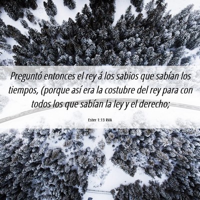Picture 06 - Ester 1:13 RVA - Preguntó entonces el rey á los sabios que - Bible Verse Picture