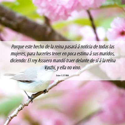 Picture 06 - Ester 1:17 RVA - Porque este hecho de la reina pasará á noticia - Bible Verse Picture