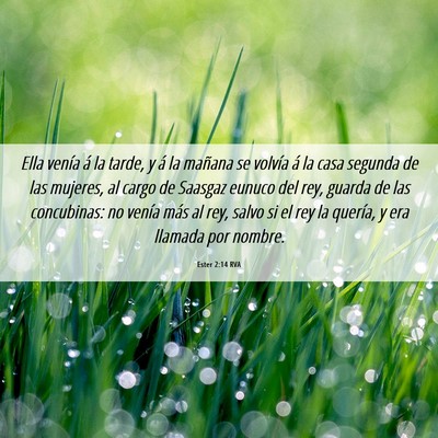 Picture 06 - Ester 2:14 RVA - Ella venía á la tarde, y á la mañana se - Bible Verse Picture