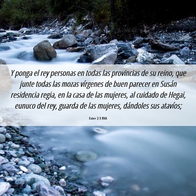 Picture 06 - Ester 2:3 RVA - Y ponga el rey personas en todas las provincias - Bible Verse Picture