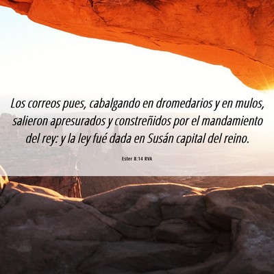 Picture 06 - Ester 8:14 RVA - Los correos pues, cabalgando en dromedarios y en - Bible Verse Picture