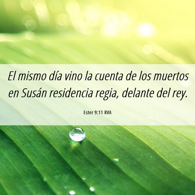 Picture 06 - Ester 9:11 RVA - El mismo día vino la cuenta de los muertos en - Bible Verse Picture