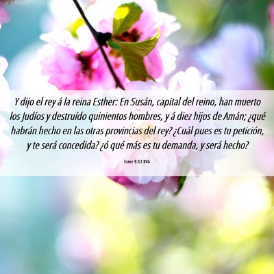 Picture 06 - Ester 9:12 RVA - Y dijo el rey á la reina Esther: En Susán, - Bible Verse Picture