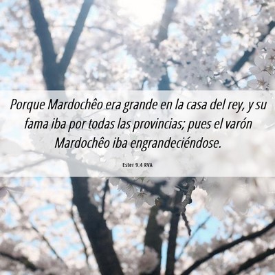 Picture 06 - Ester 9:4 RVA - Porque Mardochêo era grande en la casa del rey, - Bible Verse Picture