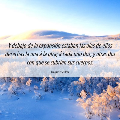 Picture 06 - Ezequiel 1:23 RVA - Y debajo de la expansión estaban las alas de - Bible Verse Picture