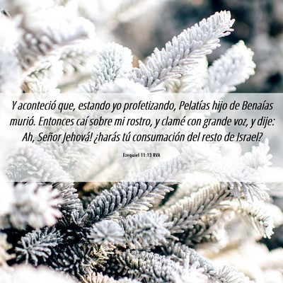 Picture 06 - Ezequiel 11:13 RVA - Y aconteció que, estando yo profetizando, - Bible Verse Picture