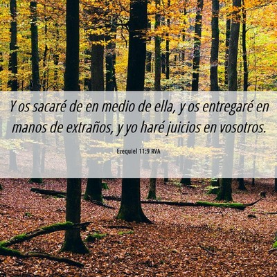 Picture 06 - Ezequiel 11:9 RVA - Y os sacaré de en medio de ella, y os entregaré - Bible Verse Picture