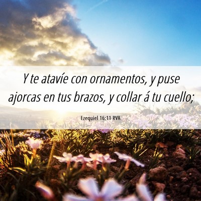Picture 06 - Ezequiel 16:11 RVA - Y te atavíe con ornamentos, y puse ajorcas en - Bible Verse Picture