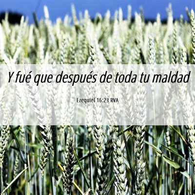 Picture 06 - Ezequiel 16:23 RVA - Y fué que después de toda tu - Bible Verse Picture