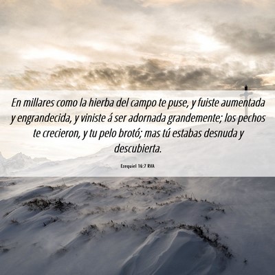 Picture 06 - Ezequiel 16:7 RVA - En millares como la hierba del campo te puse, y - Bible Verse Picture