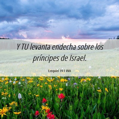 Picture 06 - Ezequiel 19:1 RVA - Y TU levanta endecha sobre los príncipes de - Bible Verse Picture