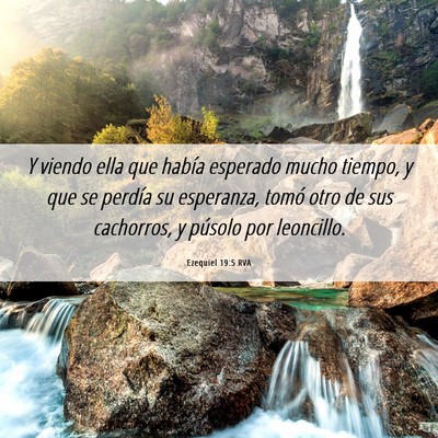 Picture 06 - Ezequiel 19:5 RVA - Y viendo ella que había esperado mucho tiempo, y - Bible Verse Picture