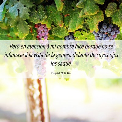 Picture 06 - Ezequiel 20:14 RVA - Pero en atención á mi nombre hice porque no se - Bible Verse Picture