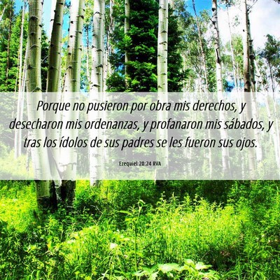 Picture 06 - Ezequiel 20:24 RVA - Porque no pusieron por obra mis derechos, y - Bible Verse Picture