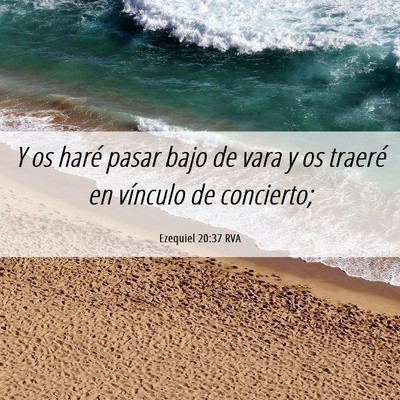 Picture 06 - Ezequiel 20:37 RVA - Y os haré pasar bajo de vara y os traeré en - Bible Verse Picture