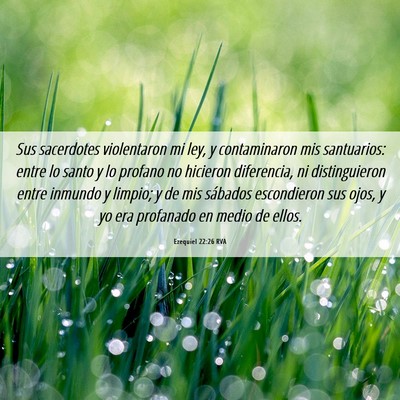 Picture 06 - Ezequiel 22:26 RVA - Sus sacerdotes violentaron mi ley, y contaminaron - Bible Verse Picture