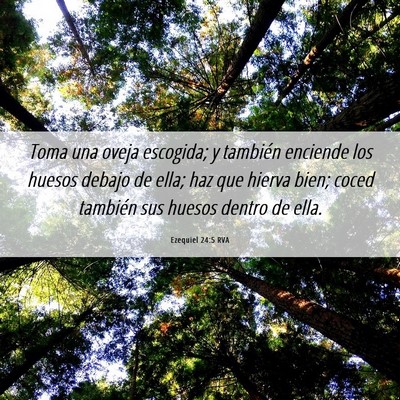 Picture 06 - Ezequiel 24:5 RVA - Toma una oveja escogida; y también enciende los - Bible Verse Picture