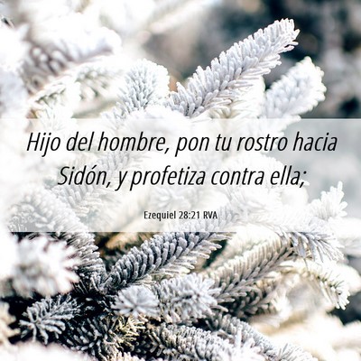 Picture 06 - Ezequiel 28:21 RVA - Hijo del hombre, pon tu rostro hacia Sidón, y - Bible Verse Picture