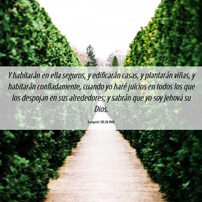 Picture 06 - Ezequiel 28:26 RVA - Y habitarán en ella seguros, y edificarán - Bible Verse Picture