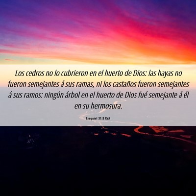 Picture 06 - Ezequiel 31:8 RVA - Los cedros no lo cubrieron en el huerto de Dios: - Bible Verse Picture