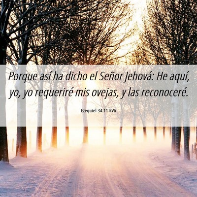 Picture 06 - Ezequiel 34:11 RVA - Porque así ha dicho el Señor Jehová: He aquí, - Bible Verse Picture