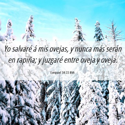 Picture 06 - Ezequiel 34:22 RVA - Yo salvaré á mis ovejas, y nunca más serán en - Bible Verse Picture