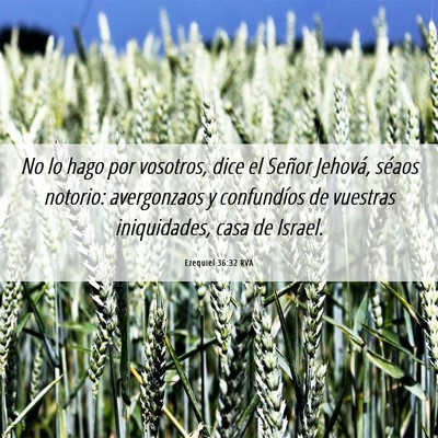 Picture 06 - Ezequiel 36:32 RVA - No lo hago por vosotros, dice el Señor Jehová, - Bible Verse Picture
