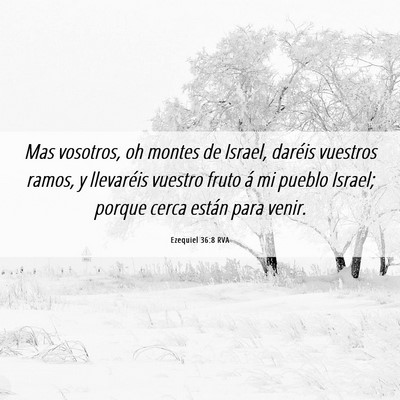 Picture 06 - Ezequiel 36:8 RVA - Mas vosotros, oh montes de Israel, daréis - Bible Verse Picture