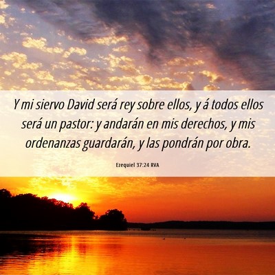 Picture 06 - Ezequiel 37:24 RVA - Y mi siervo David será rey sobre ellos, y á - Bible Verse Picture