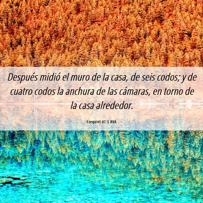Picture 06 - Ezequiel 41:5 RVA - Después midió el muro de la casa, de seis - Bible Verse Picture