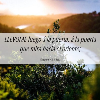 Picture 06 - Ezequiel 43:1 RVA - LLEVOME luego á la puerta, á la puerta que mira - Bible Verse Picture