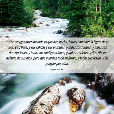 Picture 06 - Ezequiel 43:11 RVA - Y si se avergonzaren de todo lo que han hecho, - Bible Verse Picture