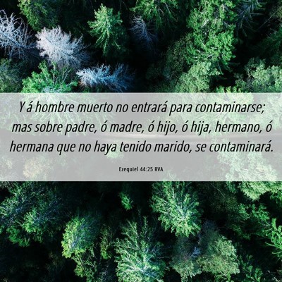 Picture 06 - Ezequiel 44:25 RVA - Y á hombre muerto no entrará para contaminarse; - Bible Verse Picture