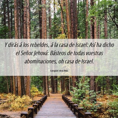Picture 06 - Ezequiel 44:6 RVA - Y dirás á los rebeldes, á la casa de Israel: - Bible Verse Picture