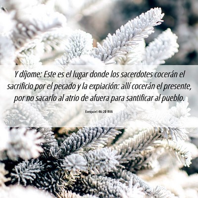Picture 06 - Ezequiel 46:20 RVA - Y díjome: Este es el lugar donde los sacerdotes - Bible Verse Picture