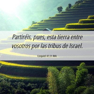 Picture 06 - Ezequiel 47:21 RVA - Partiréis, pues, esta tierra entre vosotros por - Bible Verse Picture