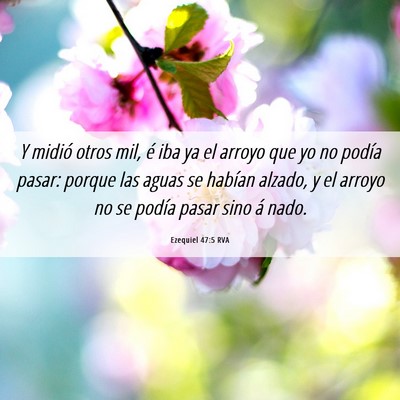 Picture 06 - Ezequiel 47:5 RVA - Y midió otros mil, é iba ya el arroyo que yo no - Bible Verse Picture
