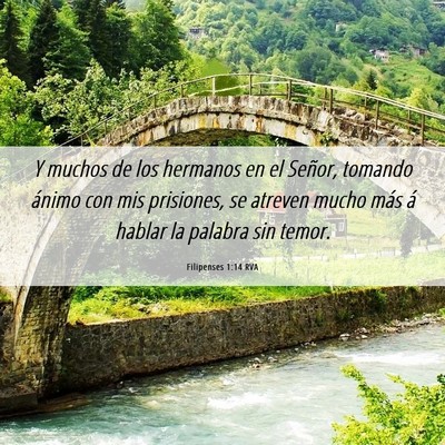 Picture 06 - Filipenses 1:14 RVA - Y muchos de los hermanos en el Señor, tomando - Bible Verse Picture
