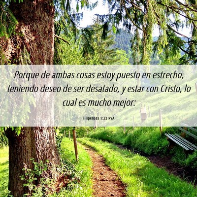 Picture 06 - Filipenses 1:23 RVA - Porque de ambas cosas estoy puesto en estrecho, - Bible Verse Picture