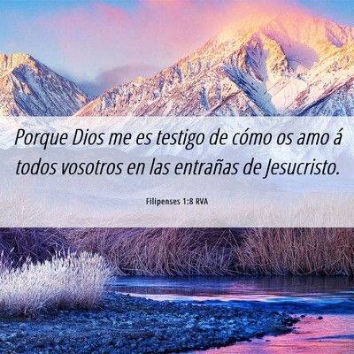 Picture 06 - Filipenses 1:8 RVA - Porque Dios me es testigo de cómo os amo á - Bible Verse Picture