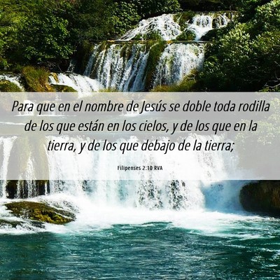 Picture 06 - Filipenses 2:10 RVA - Para que en el nombre de Jesús se doble toda - Bible Verse Picture